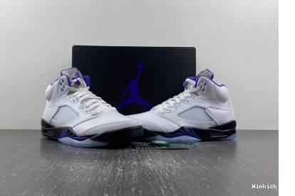 Jordan Dark Concord Retro 5 1013